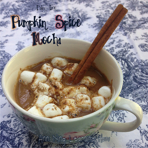 Pumpkin Spice Mocha | Dairy Free | Ann Ning Learning How