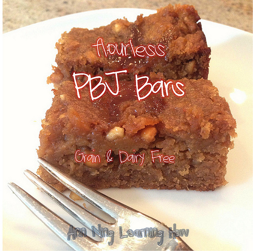 Flourless PBJ Bars |Grain Free, Dairy Free | Ann Ning Learning How