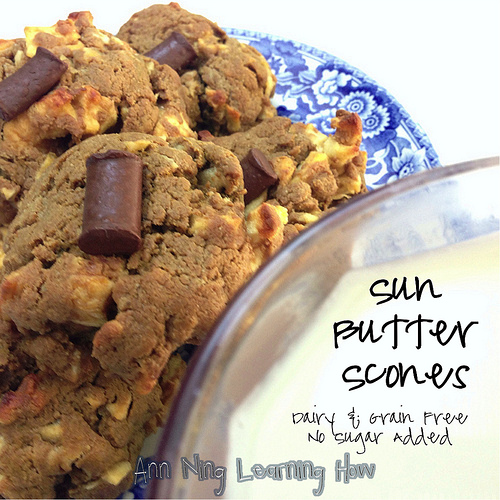 Sun Butter Scones (with dried fruit; flourless) | Grain and Dairy Free, NSA |Ann Ning Learning How
