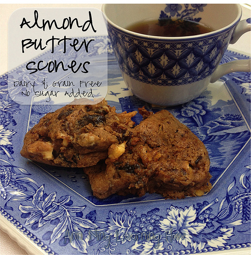 Almond Butter Scones (with dried fruit; flourless) | Grain and Dairy Free, NSA |Ann Ning Learning How