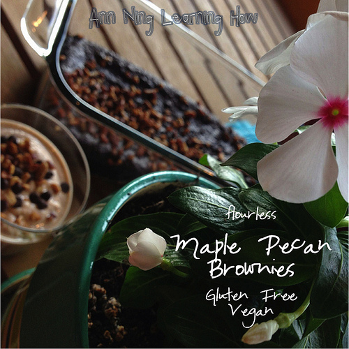 Flourless Maple Pecan Brownies | GF, Vegan | Ann Ning Learning How